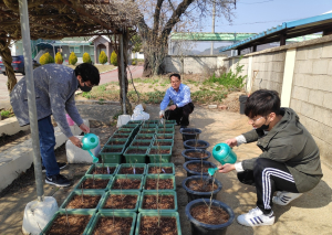 장평초, 코로나 19 퇴치 기원 식수 행사 실시